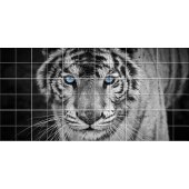 Tiger - Tiles Wall Stickers