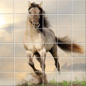 vinilo azulejos caballo