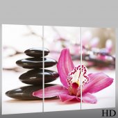 Zen - Triptych Forex Print