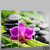 Zen - Triptych Forex Print