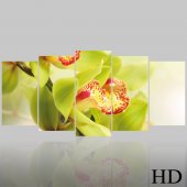 Triptyque Forex Orchidée