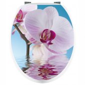 Aufkleber für Toilettendeckel Orchidee