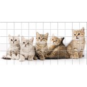 Cat - Tiles Wall Stickers