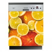 Fruits - Dishwasher Cover Panels