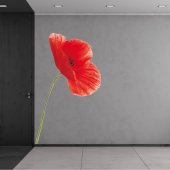 Poppy Wall Stickers