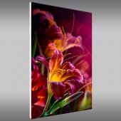 Quadro Forex fiore