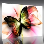 Quadro Plexiglass farfalla