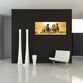 Quadro PVC Forex cavalos