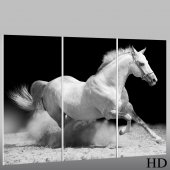 Quadro Triptico PVC cavalos