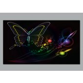 Butterflies Wall Posters