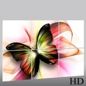 Butterfly - Triptych Forex Print