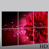 Flower - Triptych Forex Print