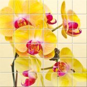 Flowers - Tiles Wall Stickers