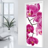 Naklejka na Drzwi - Orchidea
