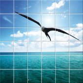 Seagull - Tiles Wall Stickers