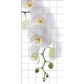 Stickers carrelage fleurs