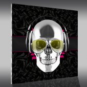 Tableau Plexi Skull