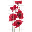 Stickers carrelage coquelicot