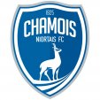 Stickers CHAMOIS NIORTAIS FC