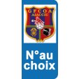 Stickers Plaque GFCOA Ajaccio