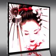 Tableau Plexi Geisha