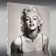 Tableau Plexi Marilyn