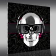 Tableau Plexi Skull