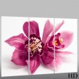 Triptyque Forex Orchidée