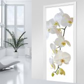 Adesivo per porte orchidea