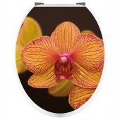 Naklejka na WC - Pomarańczowa Orchidea