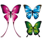 Kit 3 Stickers Papillon