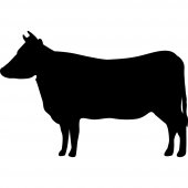 Stickers ardoise vache