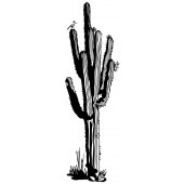 Stickers Cactus