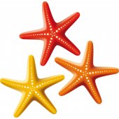 Stickers étoiles de mer