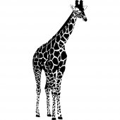 Stickers girafe