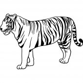 Stickers tigre