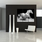 Triptyque Forex Cheval