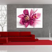 Triptyque Forex Orchidée