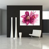 Triptyque Forex Orchidée