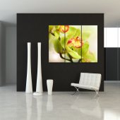 Triptyque Forex Orchidée