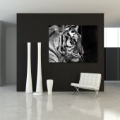 Triptyque Forex Tigre