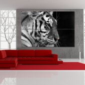 Triptyque Forex Tigre