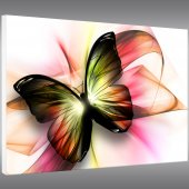 Butterfly - Forex Print