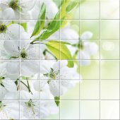 Flowers - Tiles Wall Stickers