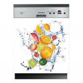 Fruits - Dishwasher Cover Panels