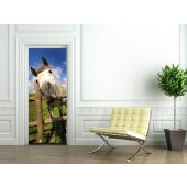 Horse Door Stickers