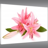 Obraz Forex - Kwiaty