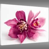 Orchid - Forex Print