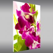 Quadro PVC Forex flores