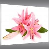 Tableau Forex Fleur